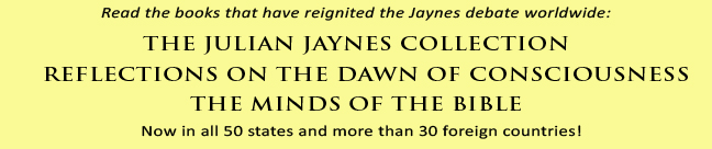 Reflections on the Dawn of Consciousness