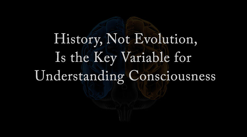 History, Not Evolution, Is the Key Variable for Understanding Consciousness