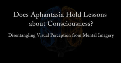 Does Aphantasia Hold Lessons about Consciousness?