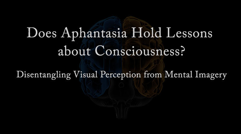 Does Aphantasia Hold Lessons about Consciousness?