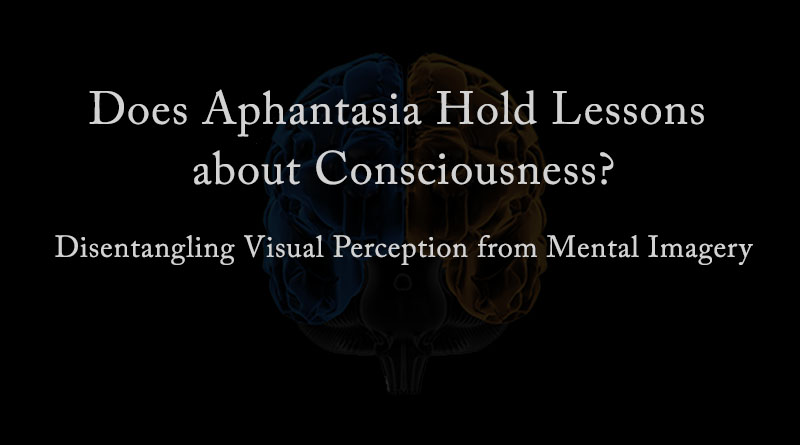 Does Aphantasia Hold Lessons about Consciousness?