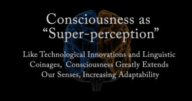 Consciousness As Super Perception
