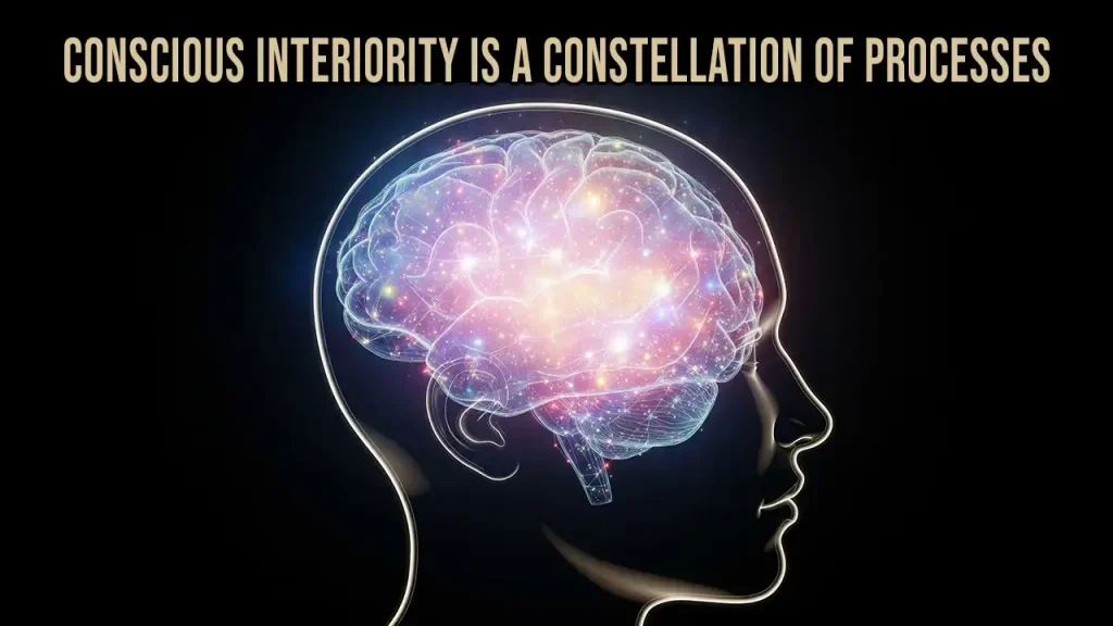 Conscious Interiority Is a Constellation of Processes