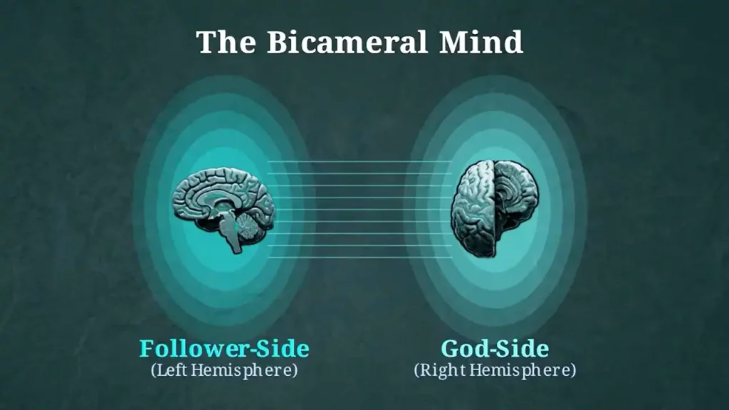 The Software of the Mind