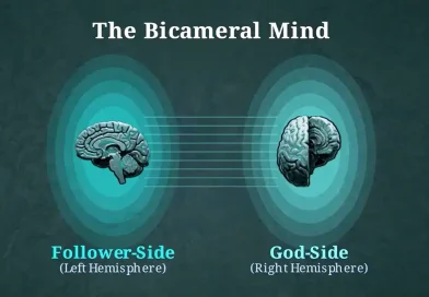 The Software of the Mind