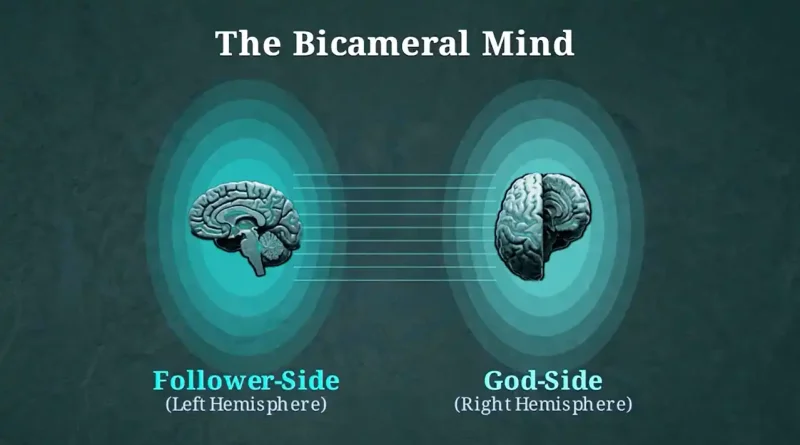 The Software of the Mind